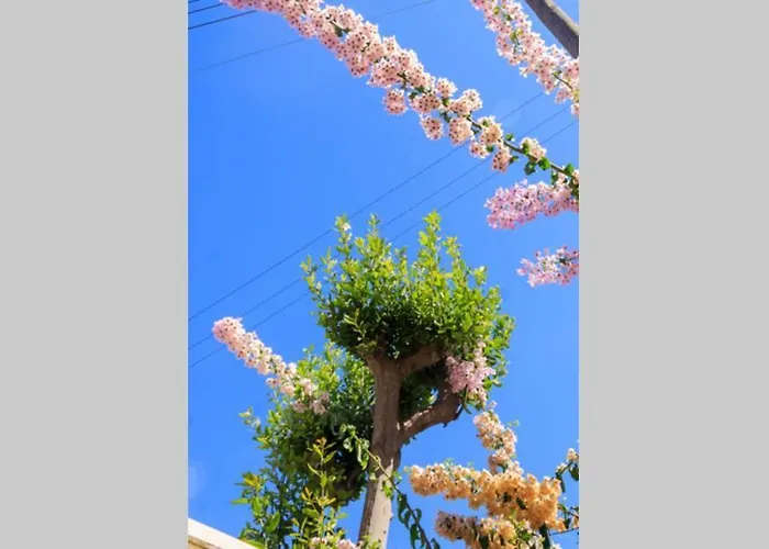 Casa La Rosa Апартаменты