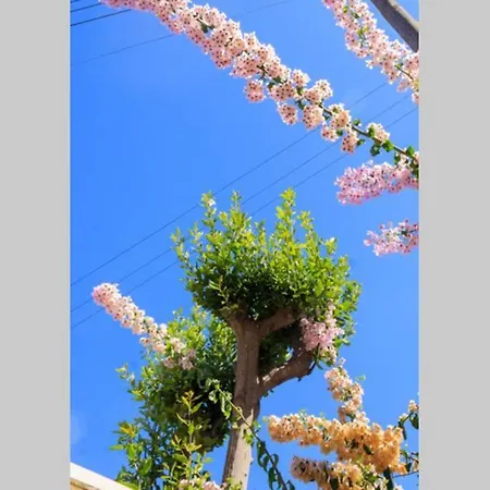 Casa La Rosa Appartamento